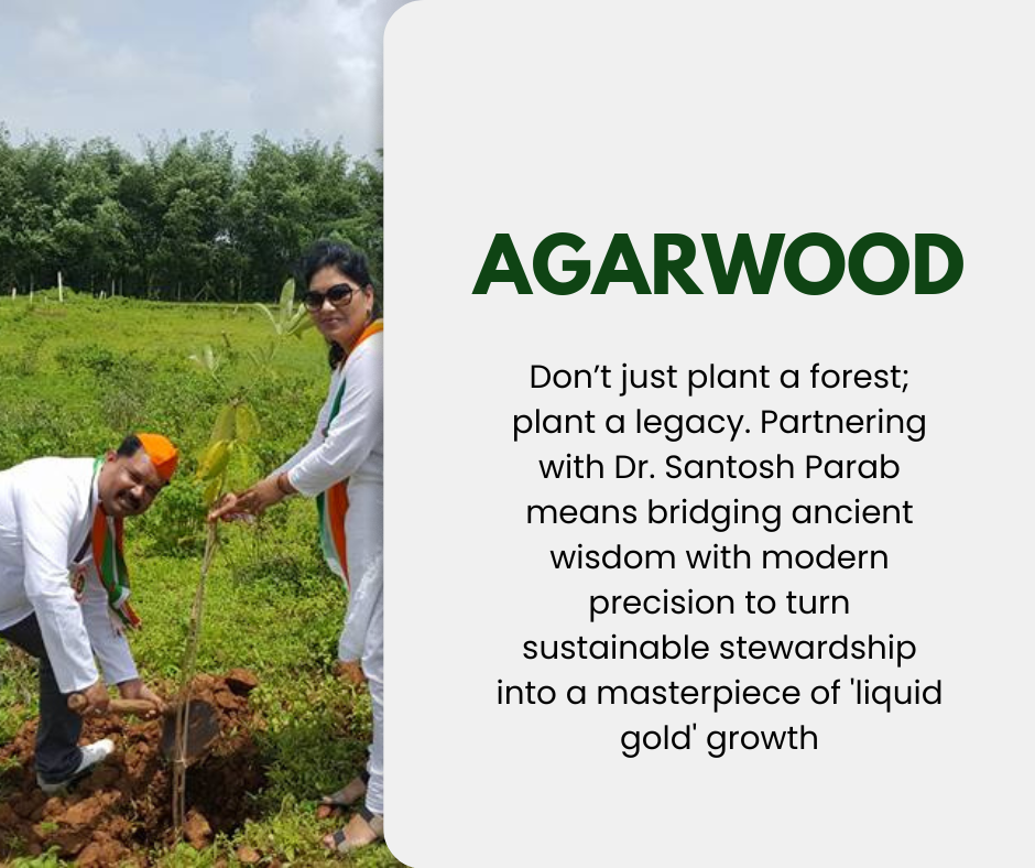Agarwood Project - Don’t Plant Blind. Plant with a Plan