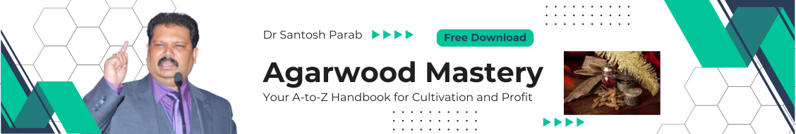 Agarwood Farming - Green Gold